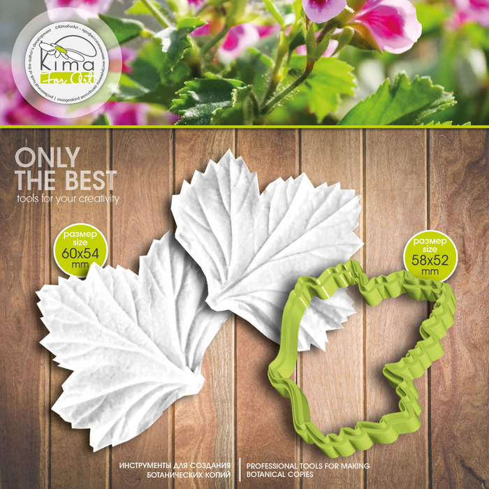 Пеларгония лист большой