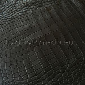 Кожа крокодила