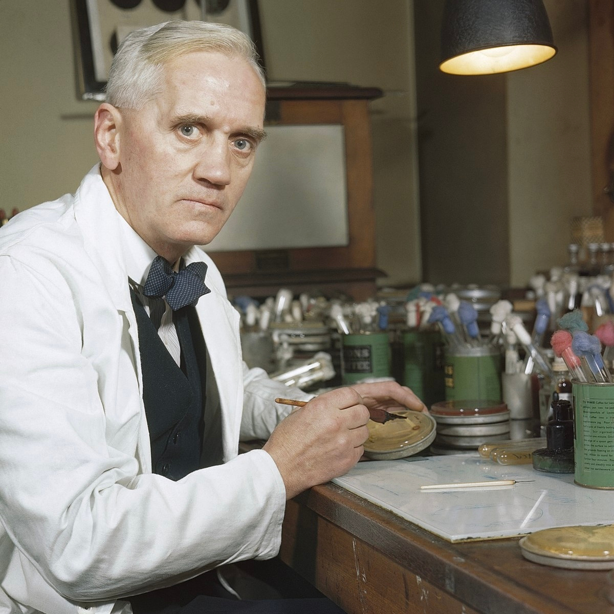 🌸♛ Александр Флеминг (Dr. Alexander Fleming) — букет ароматных пионов — 8 марта у Феи