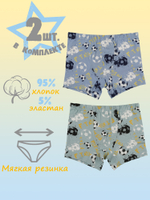 Боксеры для мальчика (2 штуки в упаковке)