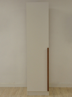 Шкаф Джамбо+ с дубовыми ручками, 215х51.2х58