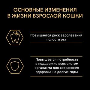 Уценка! Срок 16.07.26/ Сухой корм Pro Plan Original для кошек, для поддержания здоровья почек с курицей