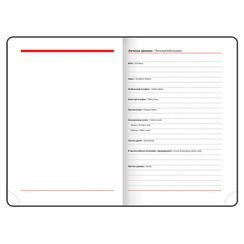 Gündəlik/Ajanda/Ежедневник/Diary Ежедневник недатированный А5 VISTA Extravagance