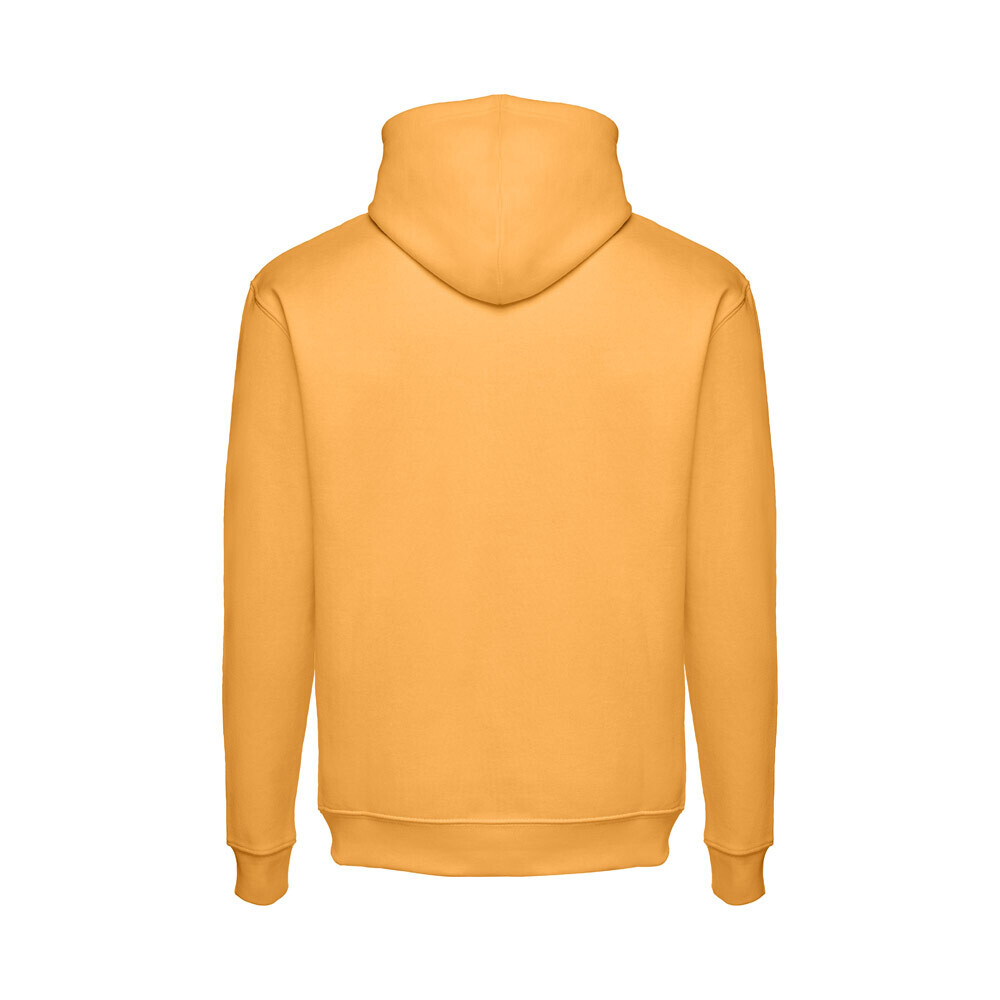 Толстовка PHOENIX