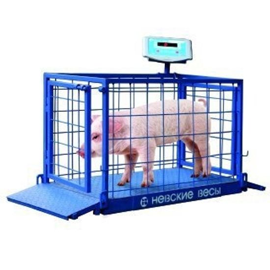 Весы для животных ВСП4-150ЖСО