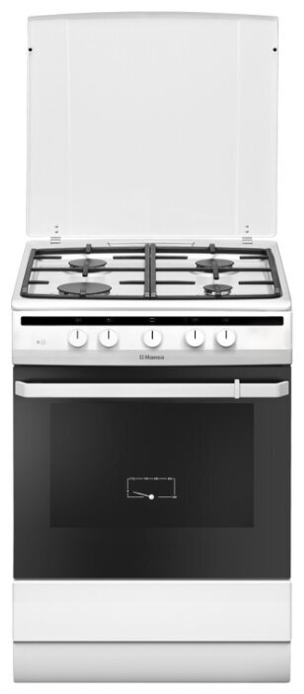 Газовая плита Hansa FCGW63020G
