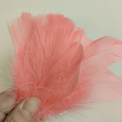 Гусиные перья 5-13 см фламинго 2 сорт 20шт.