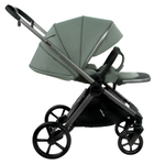 Коляска 2 в 1 Pituso Teffy Sage Green шасси Graphite