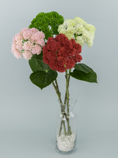 Седум силикон розовый