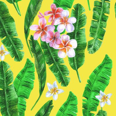 Листья бананового дерева и тропические цветы