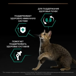 Pro plan cat adult сухой корм для взрослых кошек с курицей - 1,5 кг