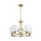Подвесная люстра Favourite Plexus 2963-5P