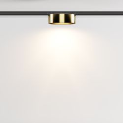 Трековый магнитный светодиодный светильник Maytoni Levity Zon TR189-1-12W3K-BBS