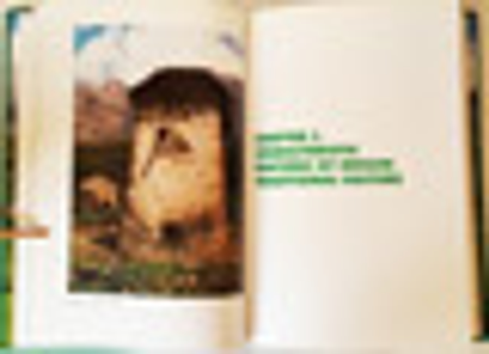 "Ингушетия: в самом сердце Кавказа. Ingushetia: at the heart of the caucasus history, culture and traditions". Зязиков М.М. Zyazikov M.M