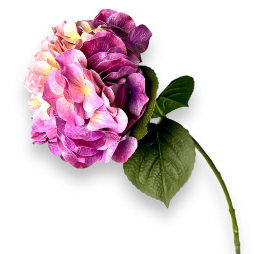 Гортензия премиум ярко-розовая