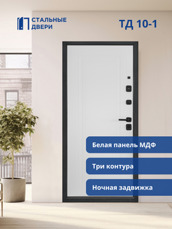 Входная дверь ТД 10-1