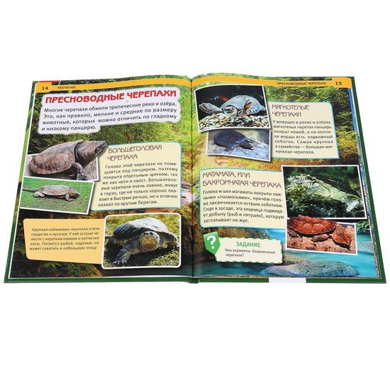Энциклопедия А4 с развивающими заданиями. Рептилии. Формат: 197х255 мм. 48 стр. Умка