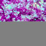 Хлопья Сиреневые перламутровые для дизайна ногтей, маникюра, бодиарта, макияжа...