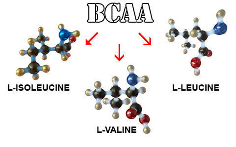 ВСАА (MegaProtein)