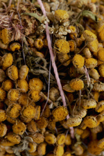 Шар для ванны из трав и цветов L