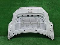 Капот Zeekr 001 (2021-н.в.)