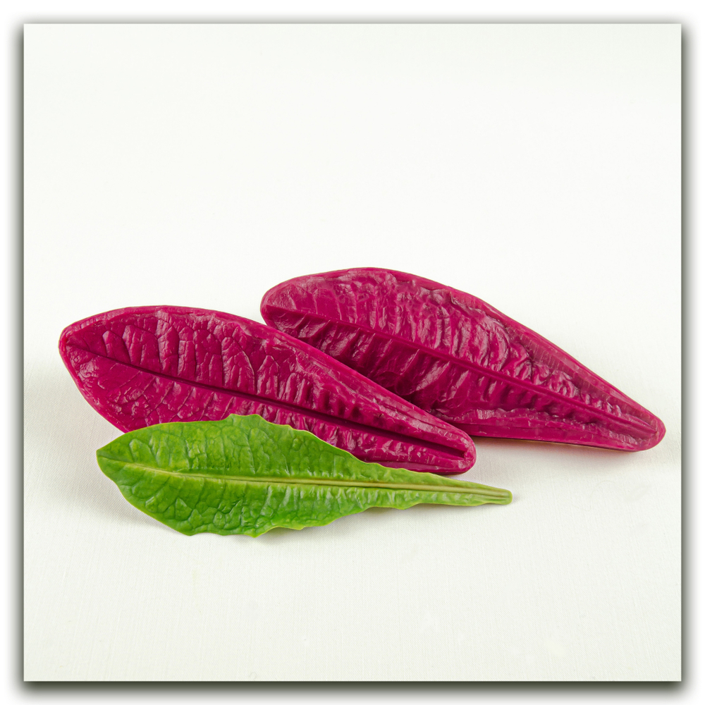 молд одуванчика