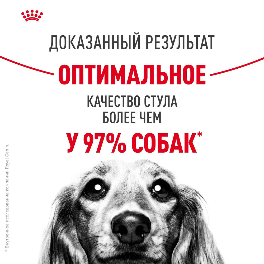 Royal Canin Medium Digestive Care Корм сухой для взрослых с чувствительным пищеварением 3 кг