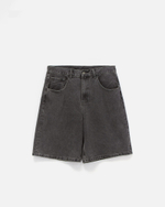 Шорты Anteater BaggyShorts-Grey