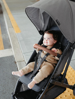 Прогулочная коляска UPPAbaby MINU V2 Greyson