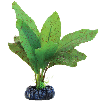 Растение шелковое "эхинодорус крапчатый", зелено-коричневое, 200мм, laguna