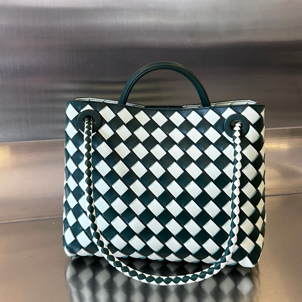 Bottega Veneta Small Andiamo 25 cm