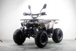Квадроцикл MOTAX ATV Grizlik Premium 125cc