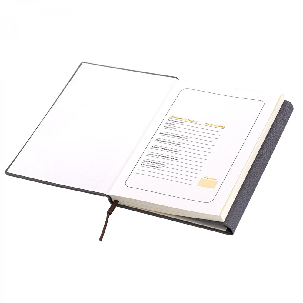 Записная книжка А5, Yalong, 7БЦ, иск. кожа (soft-touch), ляссе, тонир. блок, клапан на магните, ассорти, клетка, 120 л.