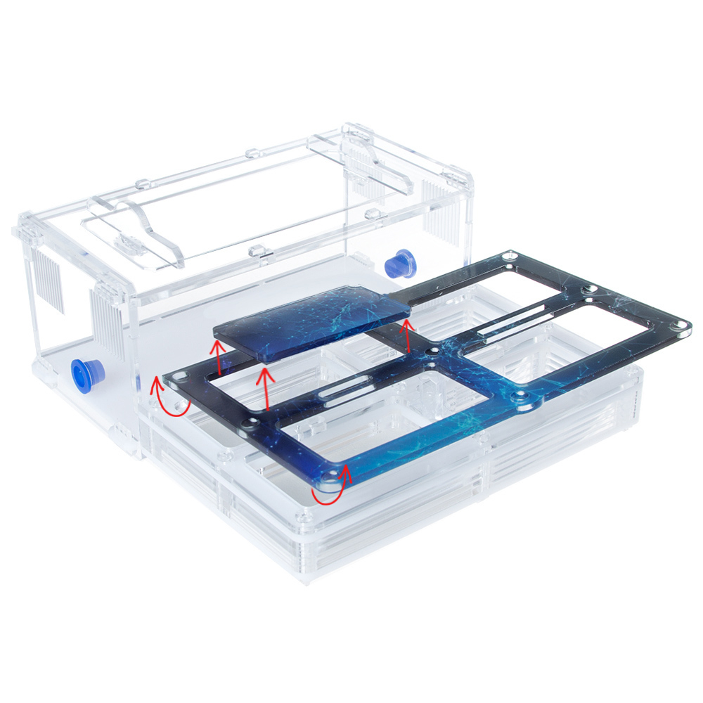 муравьиная ферма 4ants