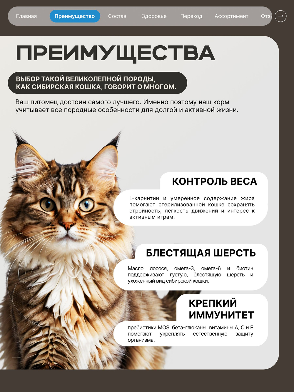 Корм сухой для стерилизованных кошек породы Сибирская, с лососем, 2 кг, QUATTRO