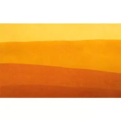 Чернила во флаконе Herbin Prestige 50 мл Ambre de Baltique желто-коричневые (13141JT) 1