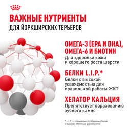 Royal Canin Yorkshire Terrier Adult Корм сухой для взрослых собак породы Йоркширский Терьер от 10 месяцев - 3 кг