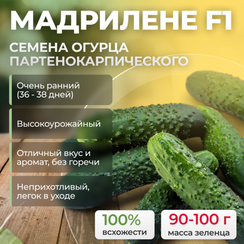 МАДРИЛЕНЕ F1 семена огурца (Seminis | Alexagro)