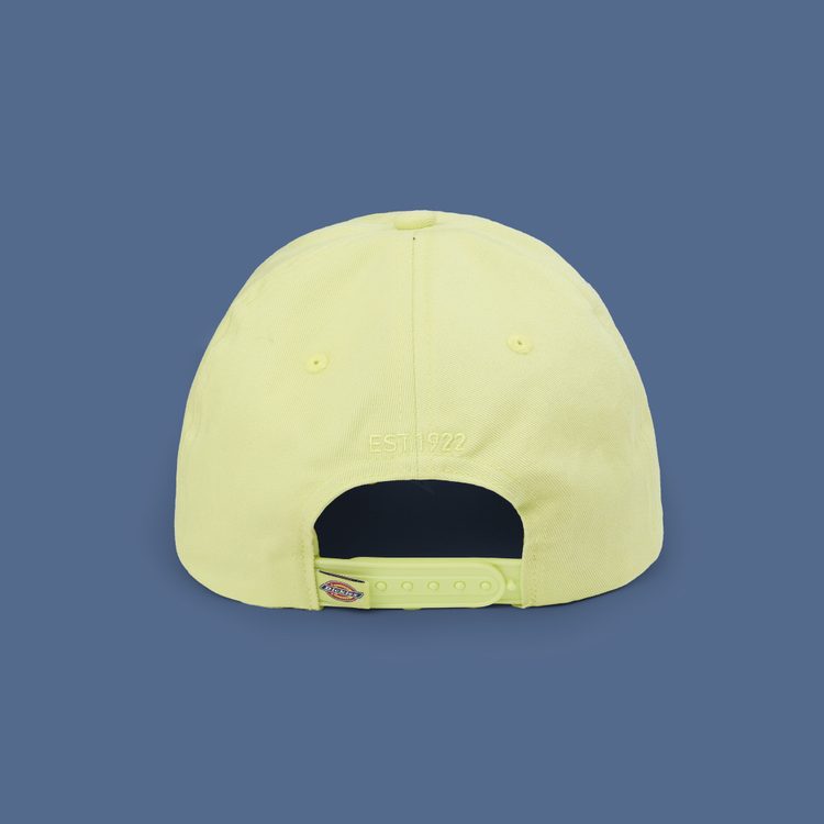 Кепка Dickies Hardwick 6 Panel Logo артикул:DK0A4TKVH141 - купить в магазине Дайс