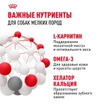 Сухой корм, для собак мелких пород с 10 месяцев до 8 лет Royal Canin Mini Adult 15кг