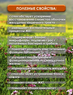 Фитокомплекс для Желудка Полезные травы, 60 капсул