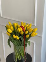 ОПТ тюльпан - классика ЖЕЛТЫЙ
