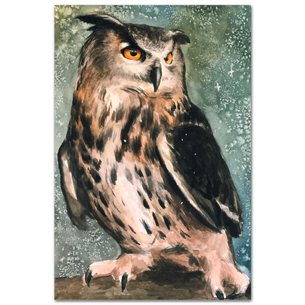 Сова из Хогвартса