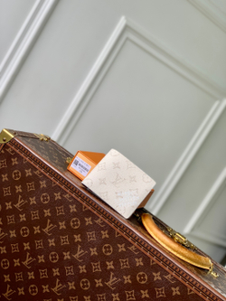 Louis Vuitton Multiple Wallet