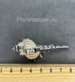 Подвеска люкс (Корея) 0860