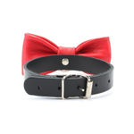 Эффектный красный ошейник-бабочка на черных ремнях