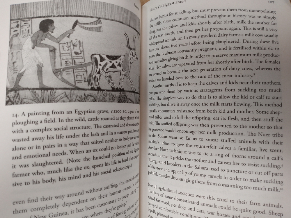 Sapiens: Brief History of Humankind (UK & US bestseller)