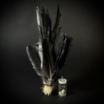 Перья и глаза вОрона