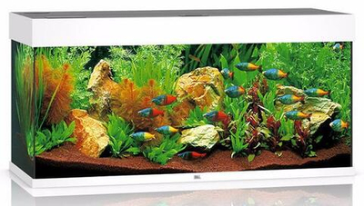 Аквариум Juwel Rio 240 LED белый