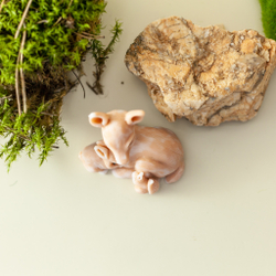 Лесные звери